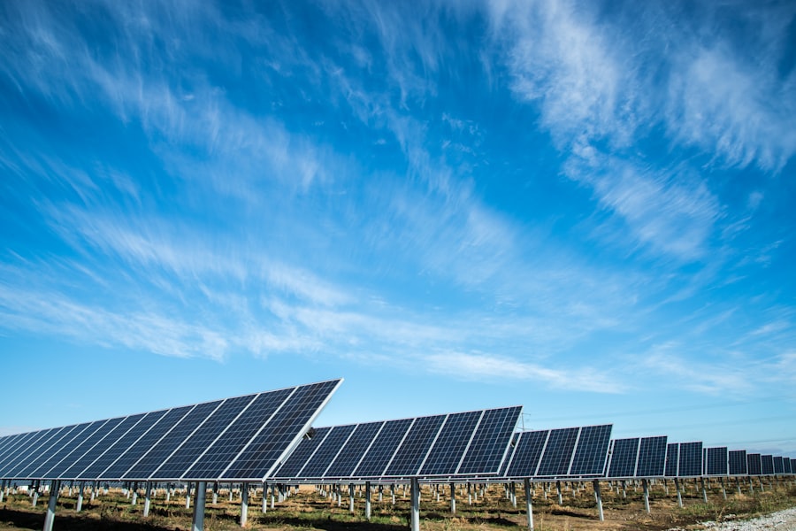 Reihen von Solarmodulen unter blauem Himmel